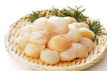 ほたて　scallops