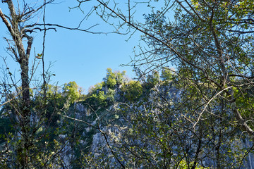 Stone tops of mountains with green trees
