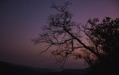 black and pink morning  in the lost canyons