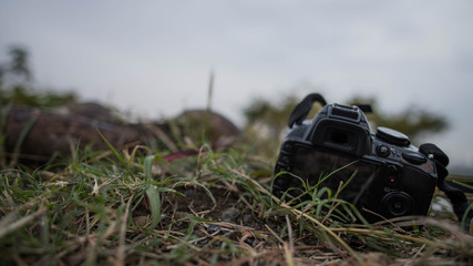 dslr on the grass