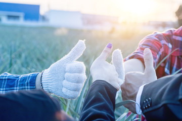 Group of people are hands making fist bump and thumb up.In concept teamwork and partnership.