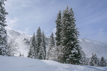 Allphotokz Tuyuk-Su 20060410 9147 5D