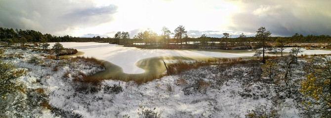 Rural winter scenery. Swamp with frozen water and pine trees