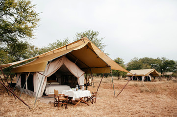 Luxury Safari tent camp in Serengeti Savanna forest - Glamping travel in Africa wild forest