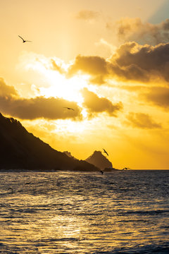 Birds flying during sunset in Fernando de Noronha, Brazil