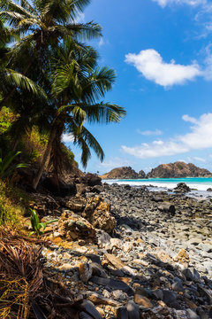 View of the volcanic landscape of Dog Beach in Fernando de Noronha, Brazil. Cocunut trees, tropical plants and a lots of rocks of different shapes.