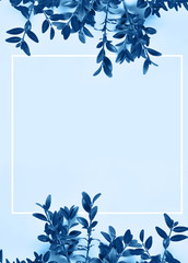 Fototapeta na wymiar Branches of plant on blue color background.