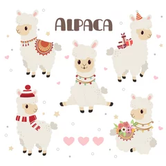 Foto auf Alu-Dibond The collection of cute alpaca in the white backgrond and heart and star set. The character of cute alpaca in any action. some alpaca is sitting and standing. The alpaca wear a hat and winter hat. © Guppic the duck