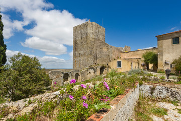 Fototapeta na wymiar Palmela, Portugal Castle and the Church of Santiago are classified National Monument since 1910.