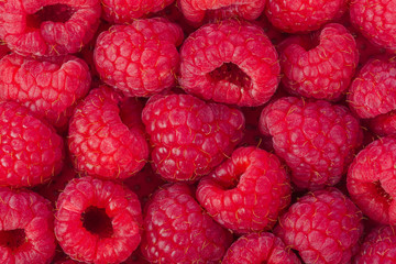 Raspberry background