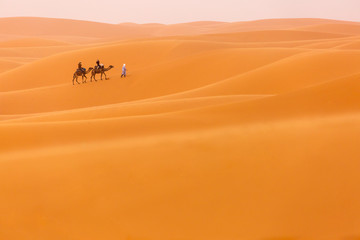 Fototapeta na wymiar Camels caravan in the dessert of Sahara with beautiful dunes in background. Morocco
