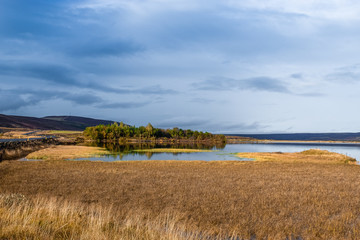 lake and marsh in iceland