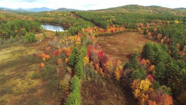 Aerial Flight Over New England Fall Leaves And Woods And Fall Colors Toward Mack Pond Near Silver Lake Near Madison New Hampshire