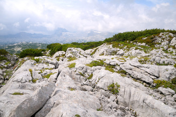 Mountains of white stone, limestone. Mountain plain with low-growing coniferous plants, covered with green moss.