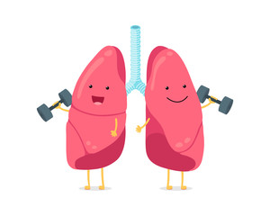 Cute cartoon funny lungs character with dumbbells. Strong smiling lung. Human respiratory system happy internal breath organ mascot. Medical healthy anatomy flat vector illusrtation