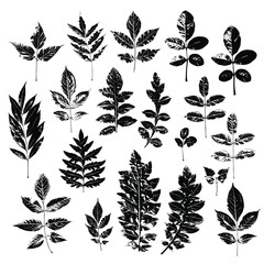 Black imprints of leaves a white background. A set of silhouetted leaves. Vintage elements (herbs, leaves, branches).  Botanical illustrations. Perfect for invitations, greeting cards, quotes, blogs,