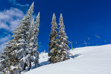 Beautiful winter landscape with snow covered trees and blue sky.