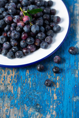 fresh blueberries in a metallic bowl