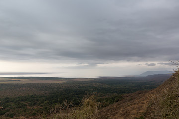 Fototapeta na wymiar Der Manyara Nationalpark - Tansania 