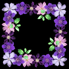 Beautiful floral pattern of pink and purple clematis. Isolated
