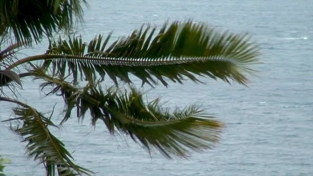 Tropical storm Peipah (Kabayan) hitting Peurto galera hard in Philippines