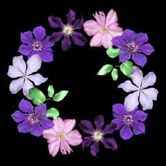 Beautiful floral circle of pink and purple clematis. Isolated