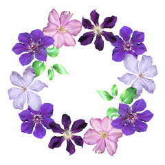 Beautiful floral circle of pink and purple clematis. Isolated