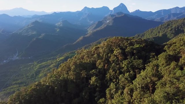 Aerial View of Bight Forest Deep in Ecuadorian Mountain Valleys