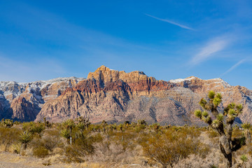 Fototapeta premium Winter snowy landscape of the famous Red Rock Canyon