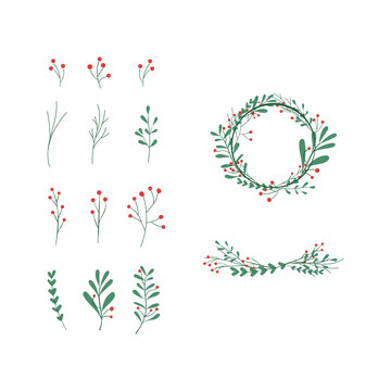 stylish herbal flower set for christmas card with fir branches and flowers
