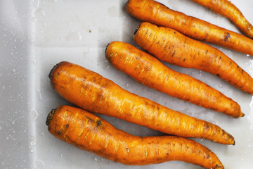 unwashed raw carrots on a light background