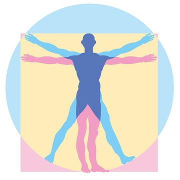 Medical, health, human body image illustration. An illustration of a human figure drawn by Leonardo da Vinci.Beautiful proportions, Vitruvian human figure.