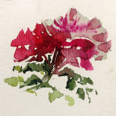 Abstract bright colored decorative background . Floral pattern handmade . Beautiful tender romantic rose flowers , made in the technique of watercolors from nature.