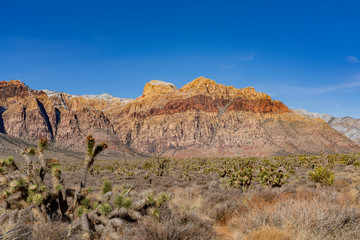 Winter snowy landscape of the famous Red Rock Canyon
