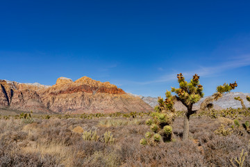 Winter snowy landscape of the famous Red Rock Canyon