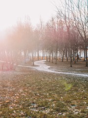 Grass under the first snow, beautiful crystals of fallen snow, grass under the ice