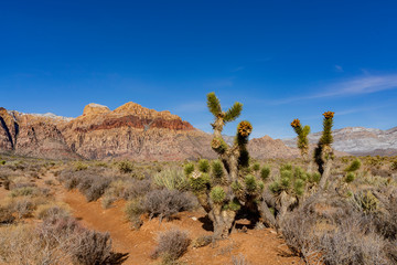 Winter snowy landscape of the famous Red Rock Canyon