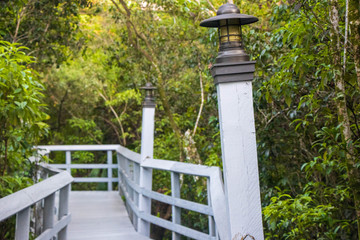 bridge in park