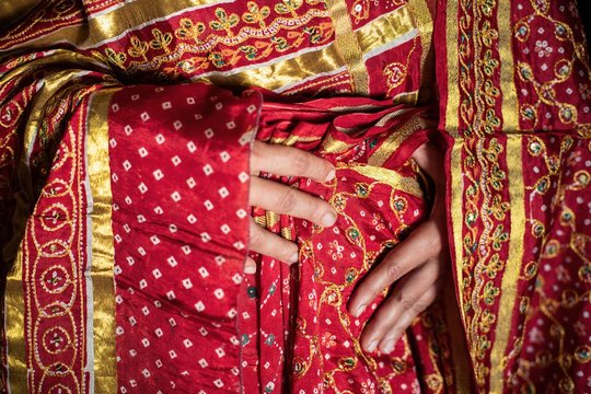 Sari detail