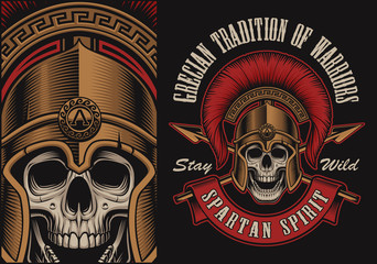 Fototapeta premium Vector illustration with a spartan skull
