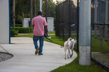 man walking her dog in park