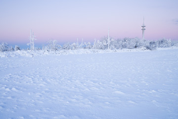white winter landscape in the morning