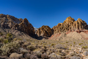 Black Velvet Canyon of the famous Red Rock Canyon