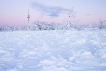 Fototapeta na wymiar white winter landscape in the morning