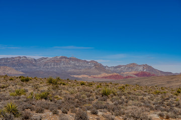 Black Velvet Canyon of the famous Red Rock Canyon
