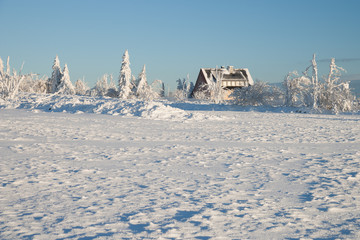 beautiful sunny winter day