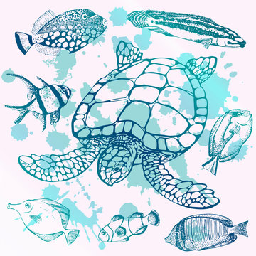 Sea turtle and tropical fish. Marine set. Perfect for invitations, greeting cards, print, banners, poster for textiles, fashion design.