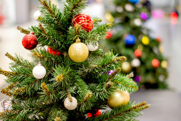 Decorated christmas tree with blurry background of sparkling second christmas tree. Bright Christmas wallpaper with two elegant coniferous trees, one out of focus. Card. wallpaper, congratulation.