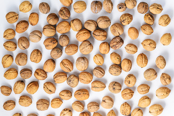 Walnuts on a white background. Horizontal orientation, top view.