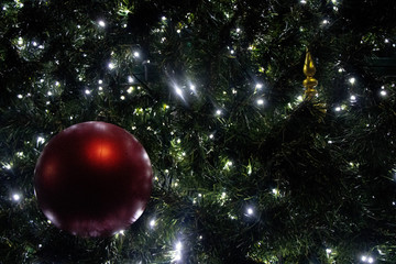 Fototapeta na wymiar christmas ball on tree